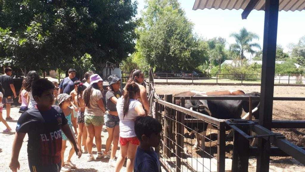 Centros comunitarios y populares granja